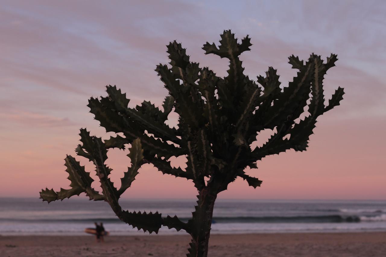 Cerritos Beach Hotel Desert Moon El Pescadero  Exteriör bild